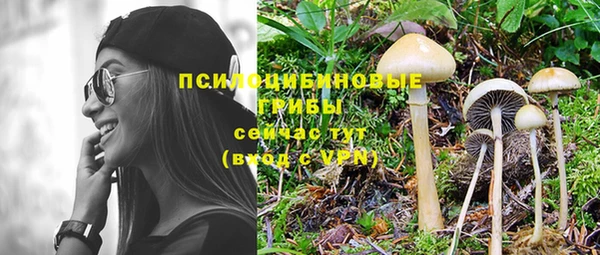 не бодяженный Кодинск