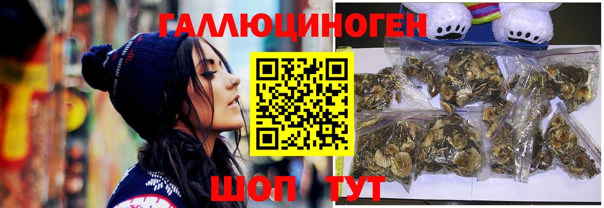 Галлюциногенные грибы Cubensis Мелеуз