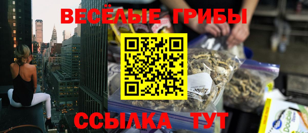 Мелеуз  Псилоцибиновые грибы Cubensis  где купить наркоту  Вход с VPN 